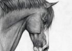 Dessin Kawaii Noir Et Blanc Impressionnant Photos Cheval Cute Dessin Drawing Horse Noir Et Blanc
