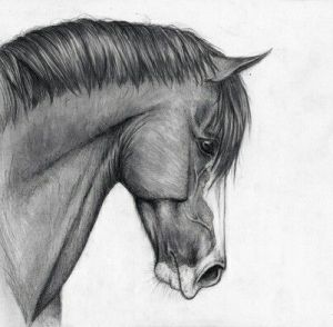 Dessin Kawaii Noir Et Blanc Impressionnant Photos Cheval Cute Dessin Drawing Horse Noir Et Blanc