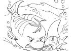 Dessin La Petite Sirene Beau Images Coloriage La Petite Sirène