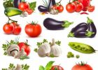 Dessin Légumes Cool Collection Dessin En Couleurs à Imprimer Nature Légumes Numéro