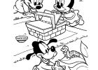 Dessin Mickey à Imprimer Beau Image Coloriage A Imprimer Bebe Mickey Pique Nique Gratuit Et