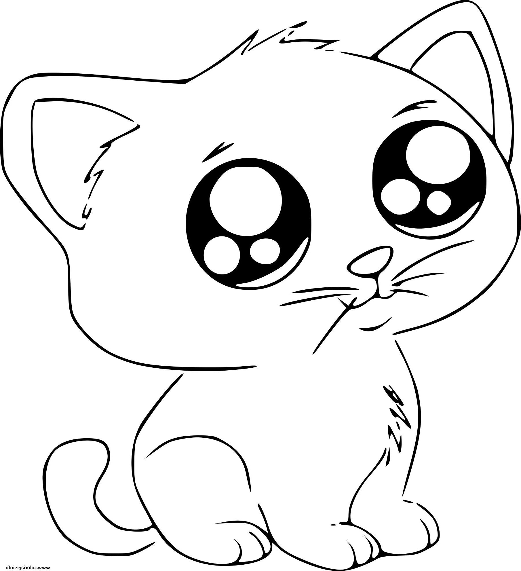 chat dessin facile mignon