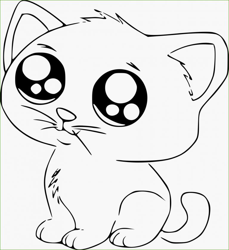 dessin imprimer chat mignon