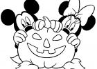 Dessin Minnie Et Mickey Bestof Images Dessins De Citrouilles D Halloween à Colorier