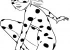 Dessin Miraculous Facile Beau Images Coloriage Miraculous Ladybug à Imprimer