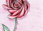 Dessin Naissance Fille Élégant Images Carte Née Dans Une Rose Dessin D Une Rose Envoyer Une