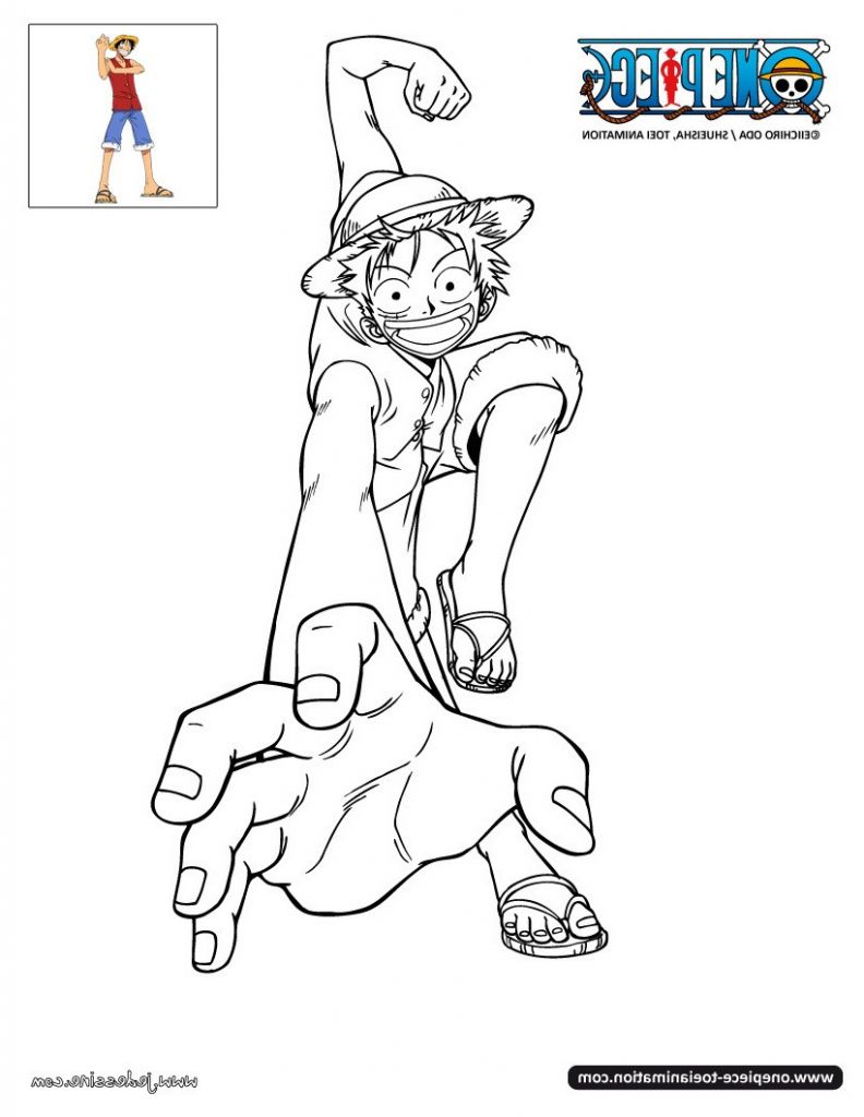 Dessin One Piece Luffy Beau Photographie Coloriages Coloriage Luffy Fr