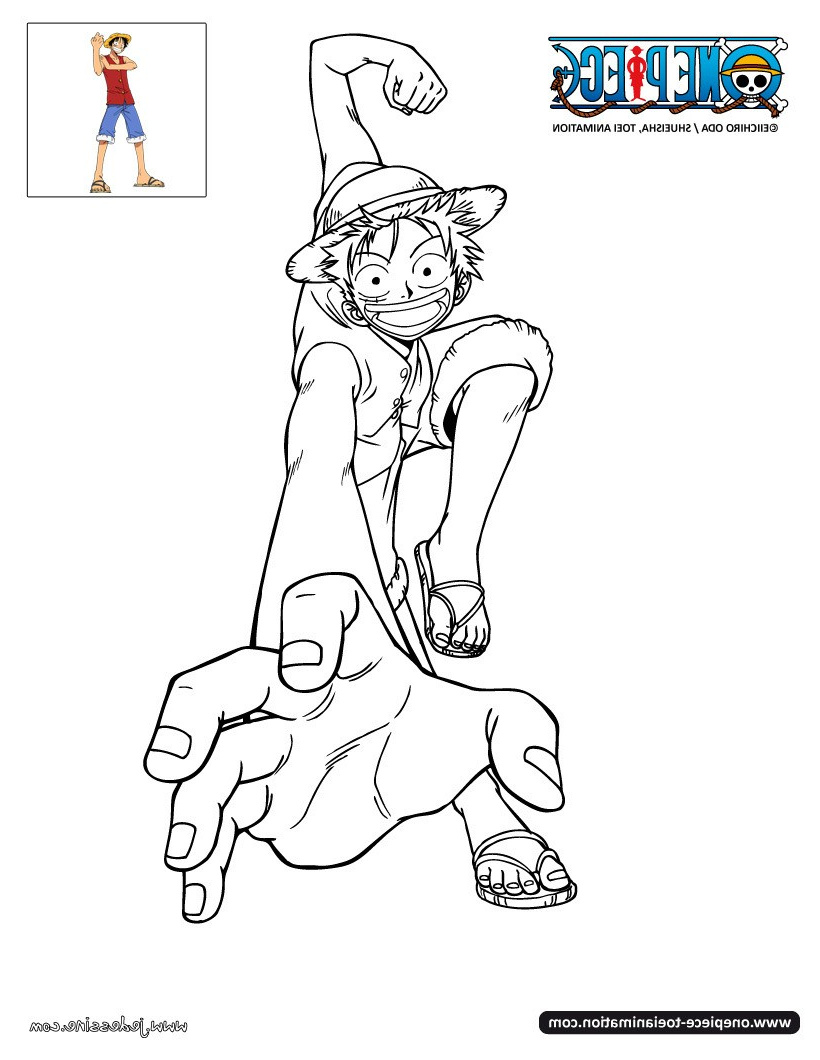 Dessin One Piece Luffy Beau Photographie Coloriages Coloriage Luffy Fr Hellokids