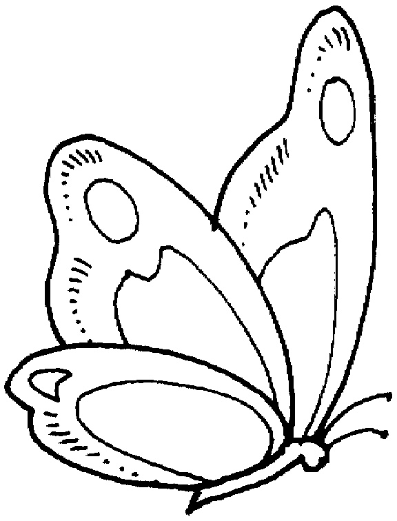 Dessin Papillon à Colorier Beau Photographie Ailes De Papillon A Colorier Et A Imprimer