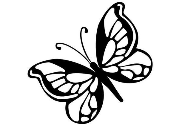 Dessin Papillon à Imprimer Beau Photos Coloriages Coloriage D Un Papillon N°8 Fr Hellokids