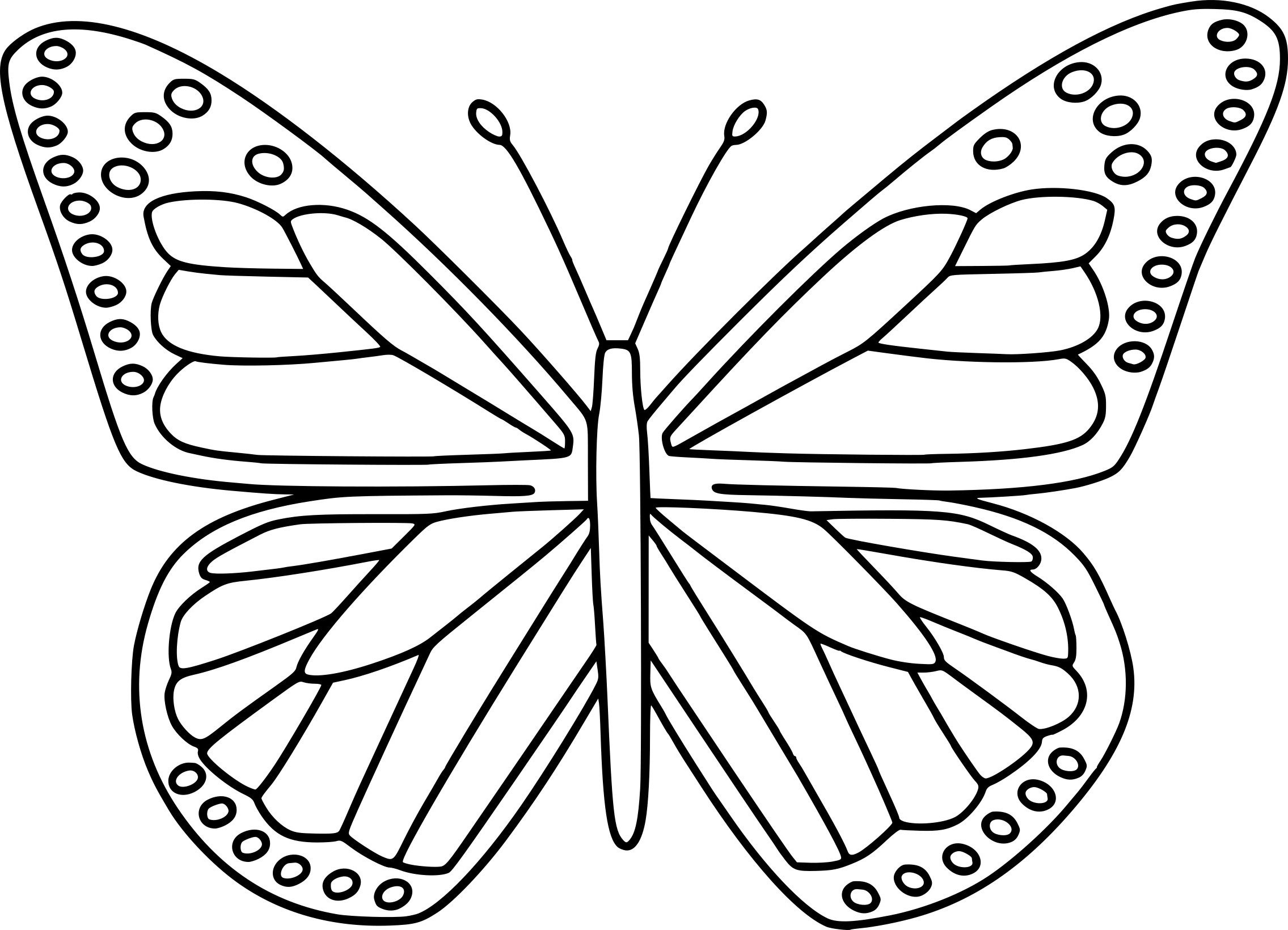 Dessin Papillon à Imprimer Luxe Images Coloriage Papillon Et Dessin à Imprimer