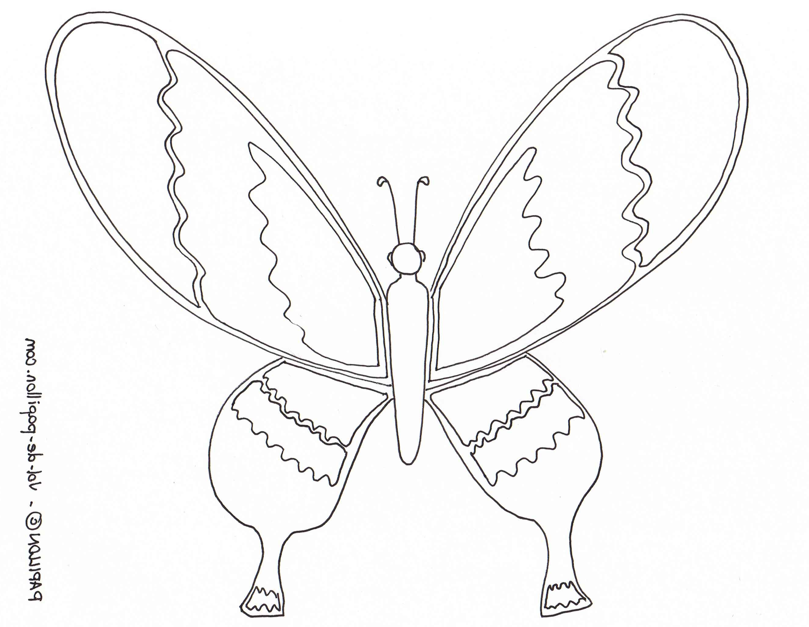 Dessin Papillon à Imprimer Luxe Photos Vol De Papillon Coloriages De Papillons