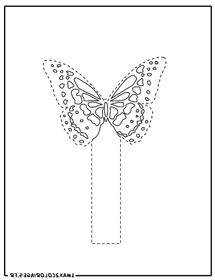 Dessin Papillon Beau Collection Dessin De Marque Page