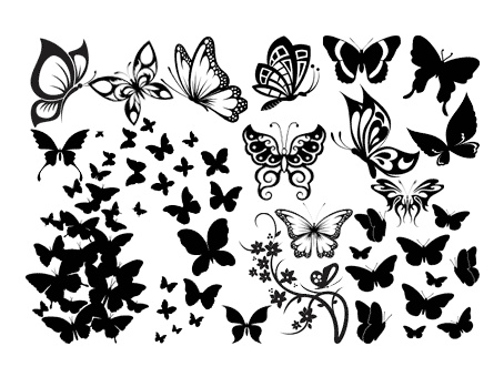 Dessin Papillon Profil Beau Photos Motifs Gratuits Pour Silhouette Caméo &amp; Portrait Pack De