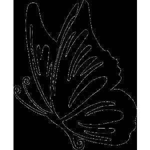 Dessin Papillon Profil Inspirant Image Sticker Papillon Profil