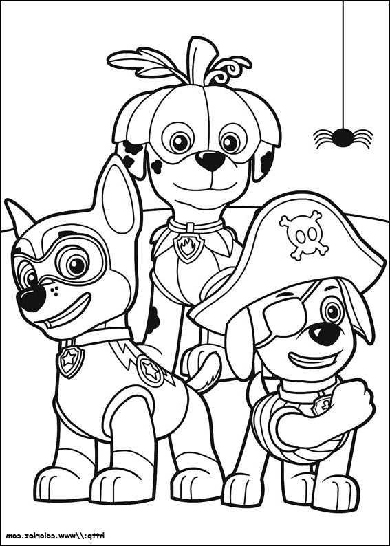 Dessin Paw Patrol Luxe Image Index Of Images Coloriage Paw Patrol