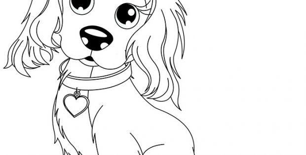 Dessin Petit Chien Beau Photographie 20 Dessins De Coloriage