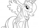 Dessin Poney Couleur Luxe Collection 149 Dessins De Coloriage Poney à Imprimer Sur Laguerche