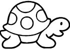 Dessin Pour Bébé Impressionnant Images Coloriage tortue Maternelle Vectoriel Dessin Gratuit à
