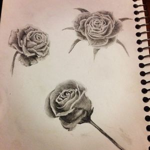 Dessin Rose Noir Et Blanc Élégant Photos Articles De Justalittleextreme Taggés &quot;dessin Tatouage