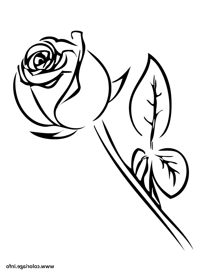 Dessin Rose Noir Et Blanc Luxe Stock Coloriage Rose Simple Noir Et Blanc Dessin