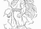 Dessin San Goku Nouveau Galerie Coloriage Sangoku Sur Coloriage à Imprimer Du Net