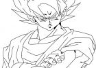 Dessin Sangoku Bestof Collection Goku Para Colorear Pintar E Imprimir