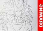 Dessin Sangoku Impressionnant Images Ment Dessiner Goku Ssj3 Dbz