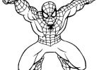 Dessin Spiderman à Imprimer Luxe Image Coloriage Spiderman 242 Jecolorie