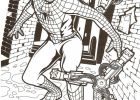 Dessin Spiderman à Imprimer Nouveau Images Coloriage Spiderman Le Dessin Gratuit à Imprimer