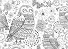 Dessin Stress Inspirant Galerie 12 Coloriages Anti Stress à Imprimer