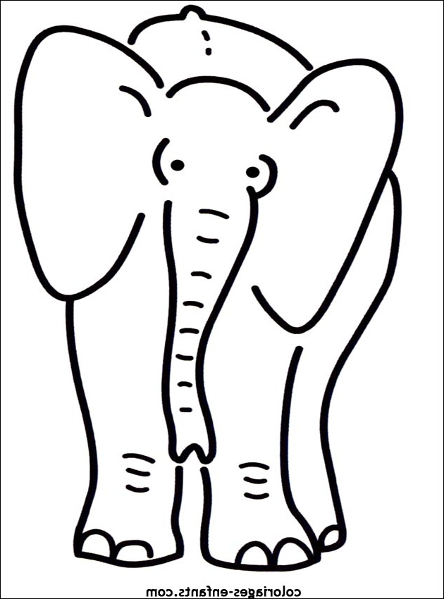 Dessin Tete Elephant Beau Image Dessin De Elephant 8