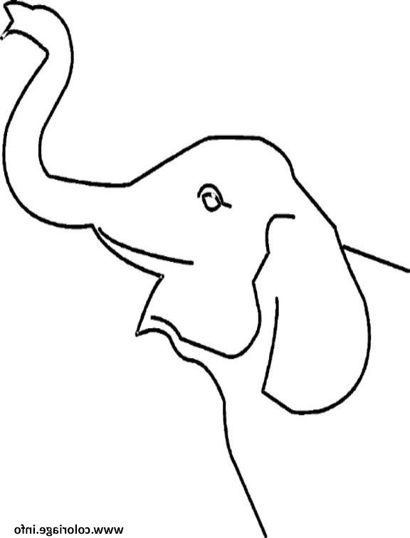 Dessin Tete Elephant Nouveau Photographie Coloriage Tete D Elephant Avec Sa Trompe Dessin