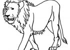 Dessin Tete Lion Inspirant Photos Lion 2 Coloriage De Lions Coloriages Pour Enfants