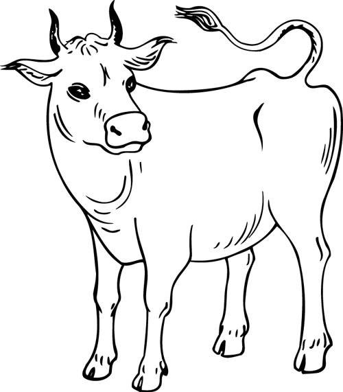 Dessin Vaches Beau Stock Coloriage Vache Les Beaux Dessins De Animaux à Imprimer