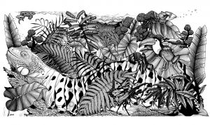 Dessin Vegetation Nouveau Photographie Jungle Animaux Caméléons Et Lézards Coloriages