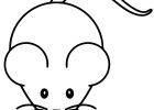 Dessiner Une souris Cool Stock 28 Dessins De Coloriage souris à Imprimer