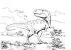Dinosaure Coloriage T Rex Unique Photographie Dessin De T Rex A Imprimer 5