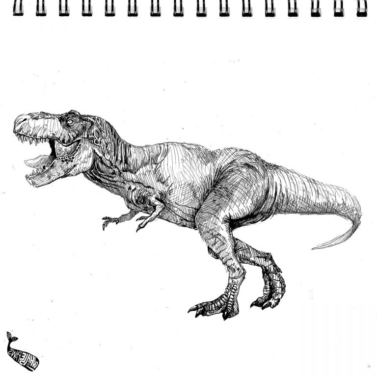 Dinosaure Dessin Beau Photos T Rex Art Drawing Trex Dinosaur