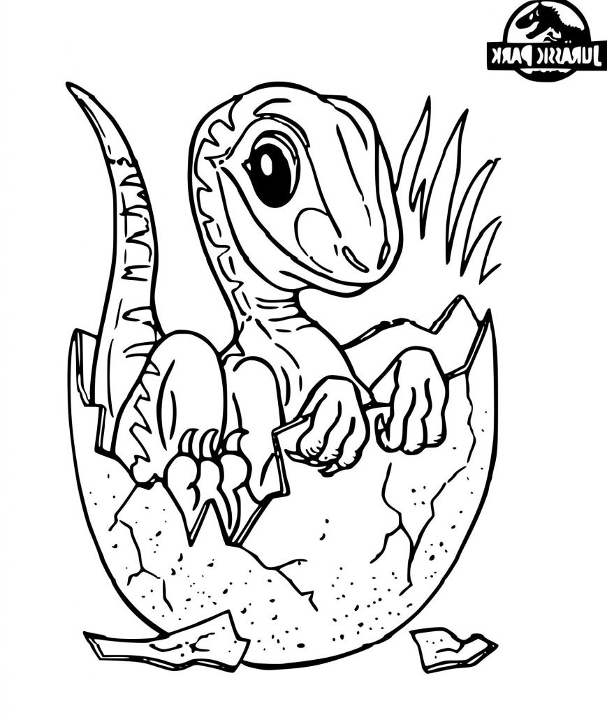 12 Cool De Dragon Facile Galerie  Coloriage  Coloriage