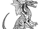 Dragon à Colorier Impressionnant Photos Dessin Très Réaliste D’un Dragon à Colorier