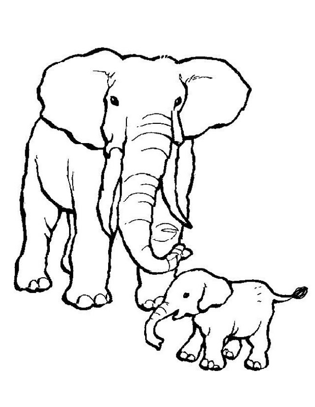 Elephant Coloriage Bestof Collection Coloriage éléphant à Imprimer Gratuitement