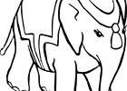 Elephant Coloriage Inspirant Stock Coloriage Éléphant Inde Dessin à Imprimer Sur Coloriages Fo