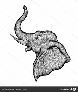 Elephant De Profil Beau Photos Tête D’éléphant Dans La Conception De Profil Ligne Art