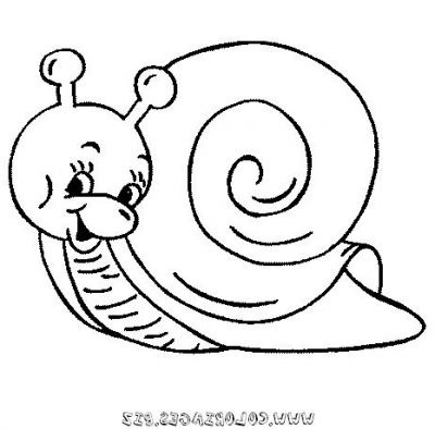 Escargots Dessin Élégant Collection Coloriages Escargots Page 1 Animaux