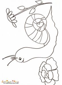 Escargots Dessin Impressionnant Photos Coloriage Gros Escargot Sur Tete A Modeler