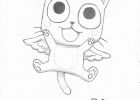Fairy Tail Dessin Inspirant Image 2013 2014 Musiclova4eva Quick Sketch Happy From Fairy