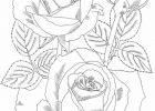 Fleur A Colorier Impressionnant Images Coloring Coloring Pages and Printable Coloring Sheets On