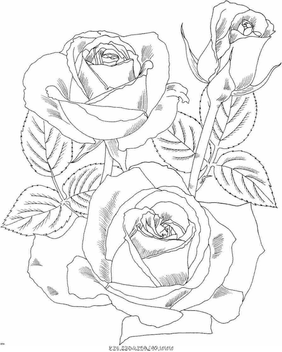 Fleur A Colorier Impressionnant Images Coloring Coloring Pages and Printable Coloring Sheets On