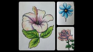 Fleur De Lys Dessin Inspirant Stock Colorier Des Fleurs Aux Crayons De Couleur